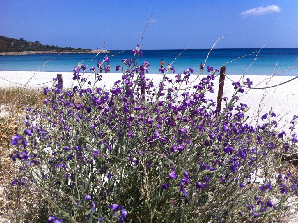 Porto Ottiolu Beach